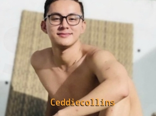 Ceddiecollins