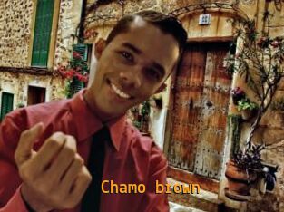 Chamo_brown