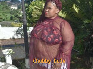 Chubby_bule