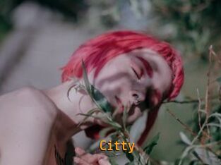 Citty