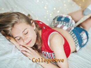 Collegedove