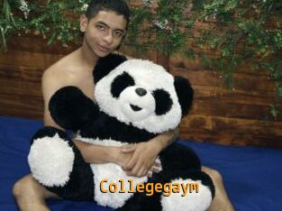 Collegegaym