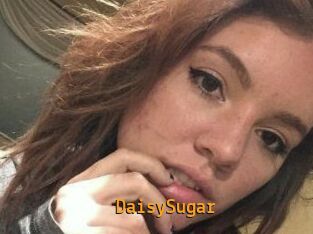 Daisy_Sugar