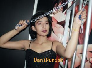 DaniPunish