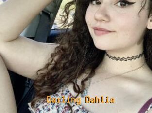 Darling_Dahlia
