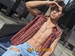 David_Wood