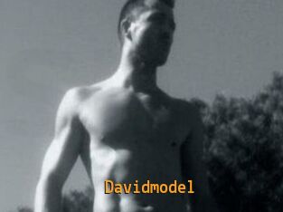 Davidmodel
