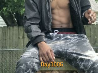 Day1DOG