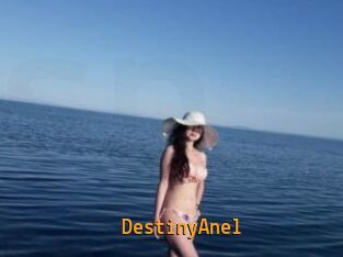 DestinyAnel