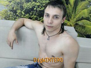 DigWINTERO