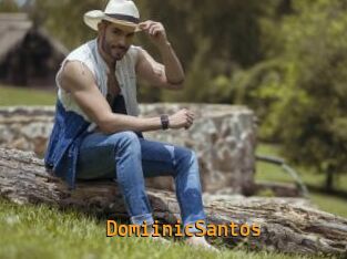 DomiinicSantos Sexcam Portal
