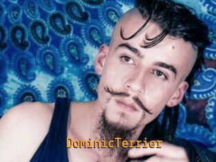 DominicTerrier