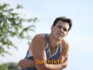 DominikYa