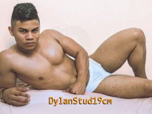 DylanStud19cm