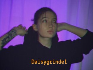 Daisygrindel