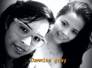 Dammins_gray