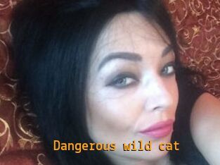 dangerous_wild_cat Sexcam Portal