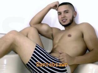 Dantebrawn
