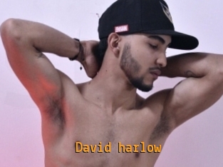 David_harlow