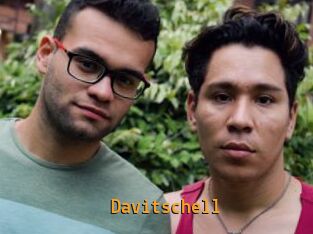 Davitschell