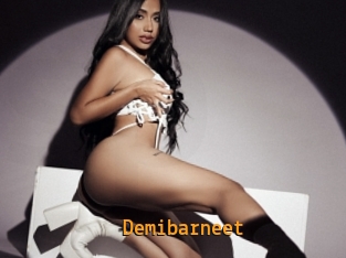 Demibarneet