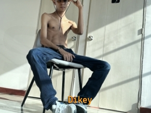 Dikey