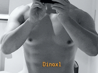 dinoxl Sexcam Portal