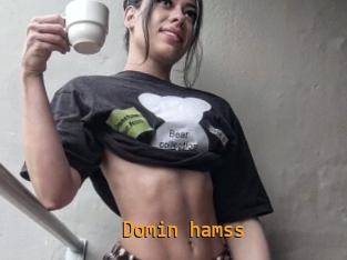 Domin_hamss