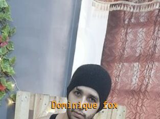 Dominique_fox