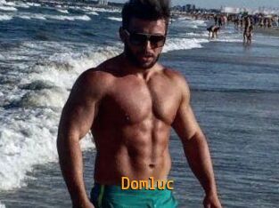 Domluc