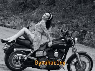 Dynaharley