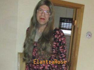Elantra_Rose