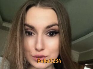 Evka1234