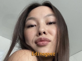 Edinageer