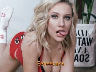 Eeveecass