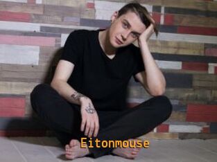 Eitonmouse