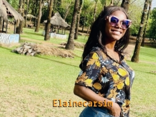 Elainecarsim
