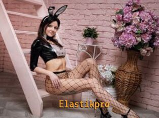 Elastikpro