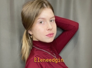 Eleneedgin