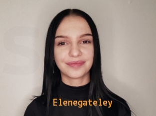 Elenegateley