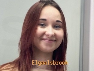 Elgaalsbrook