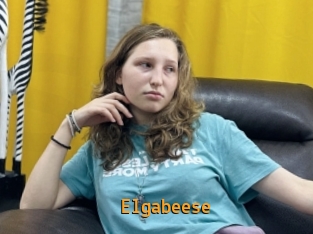 Elgabeese