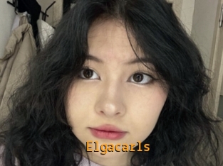 Elgacarls