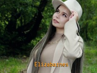 Elizabarnes