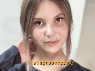 Elviagreenhouse