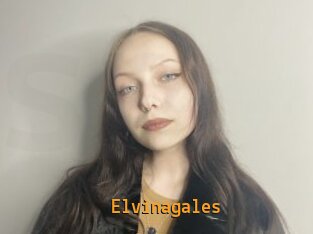 Elvinagales