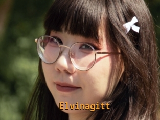 Elvinagitt