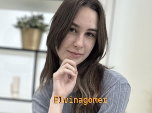 Elvinagomer