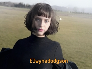 Elwynadodgson