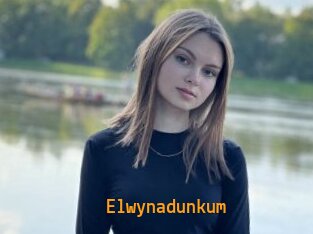 Elwynadunkum